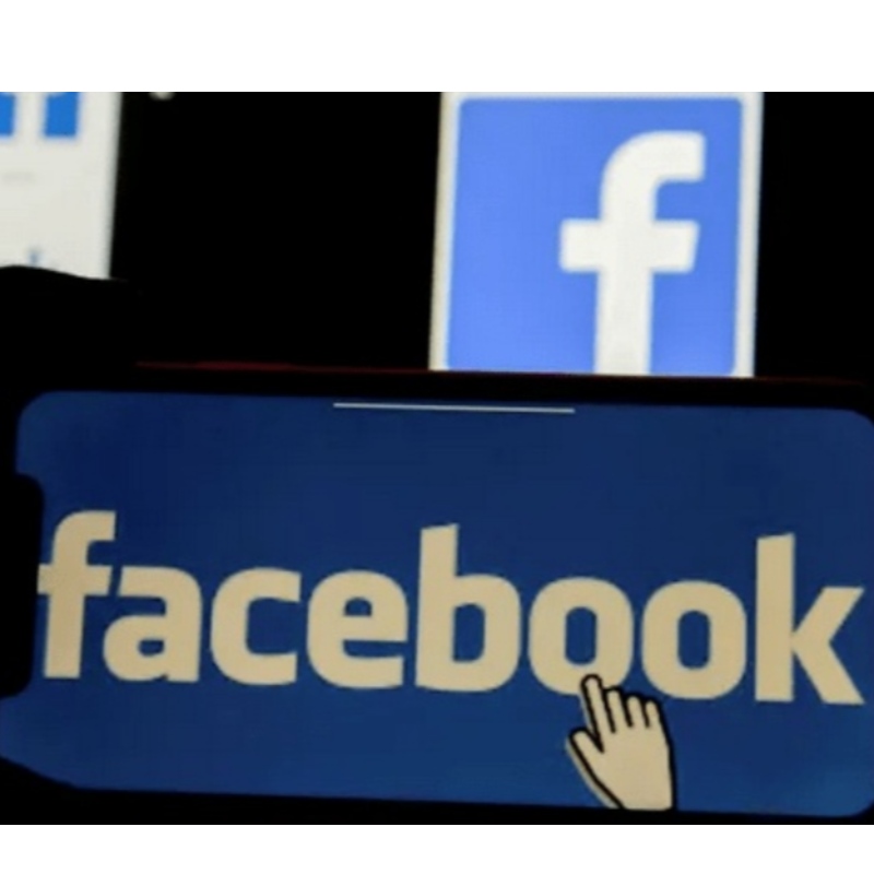 Facebook \\\\ \'170만의 연봉 : 노동 시장에서 큰 공장의 온라인 효과를 강조하기